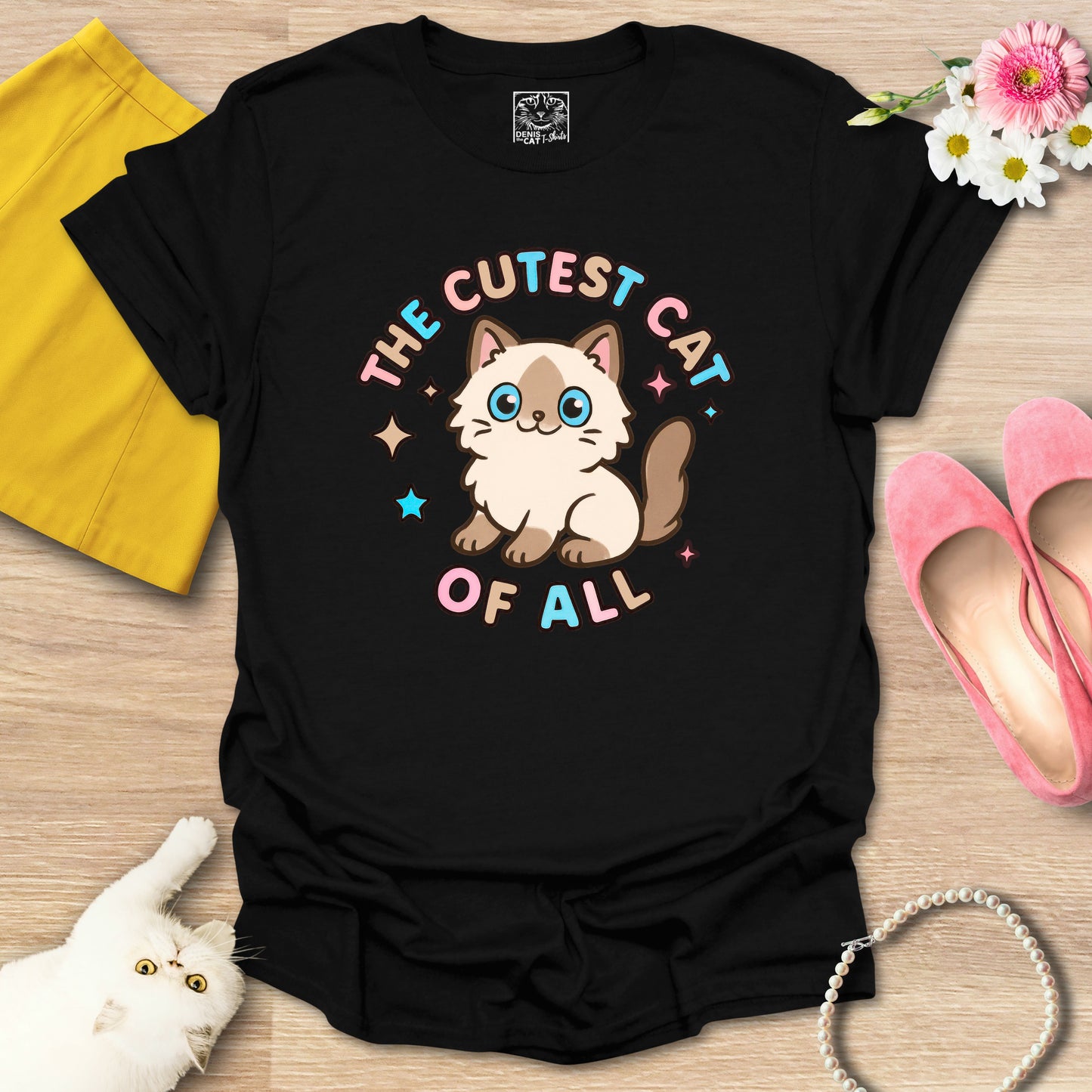 Cutest Cat of All - Ragdoll