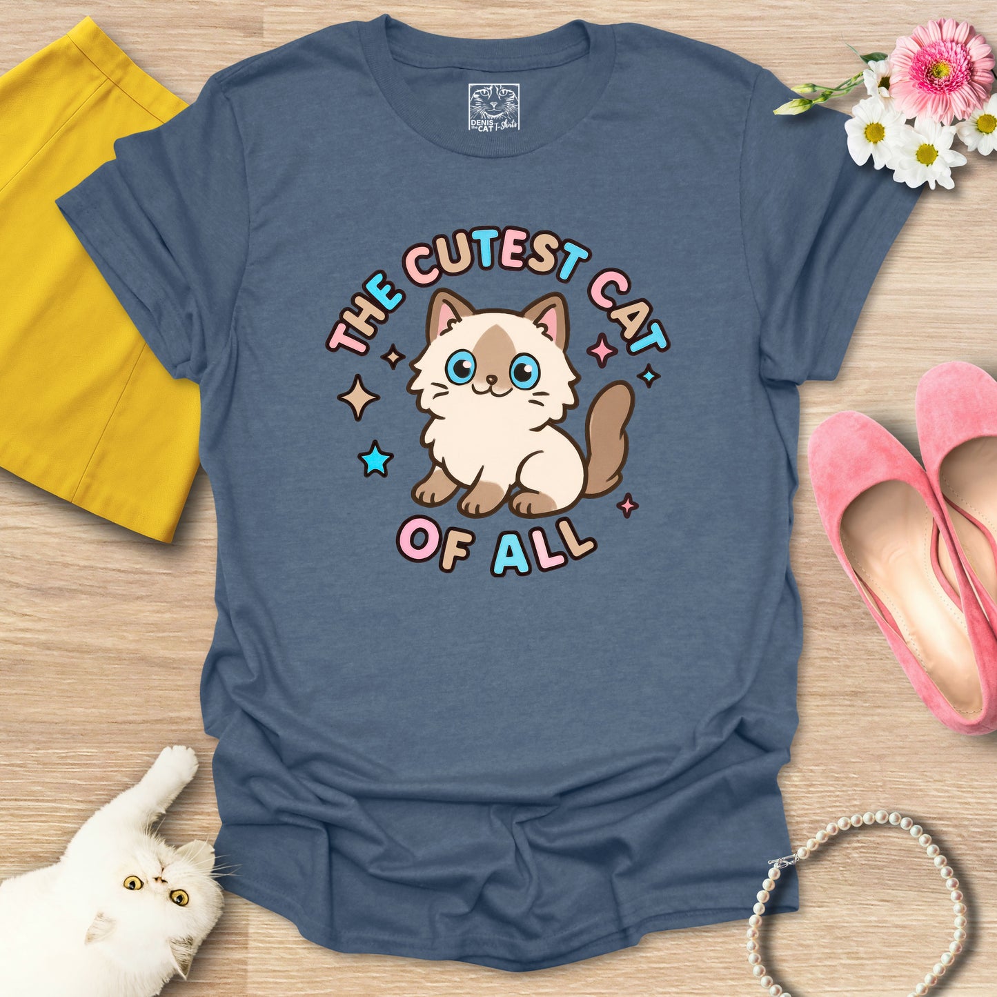 Cutest Cat of All - Ragdoll