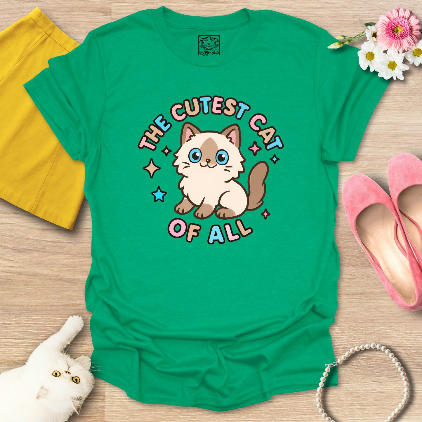 Cutest Cat of All - Ragdoll