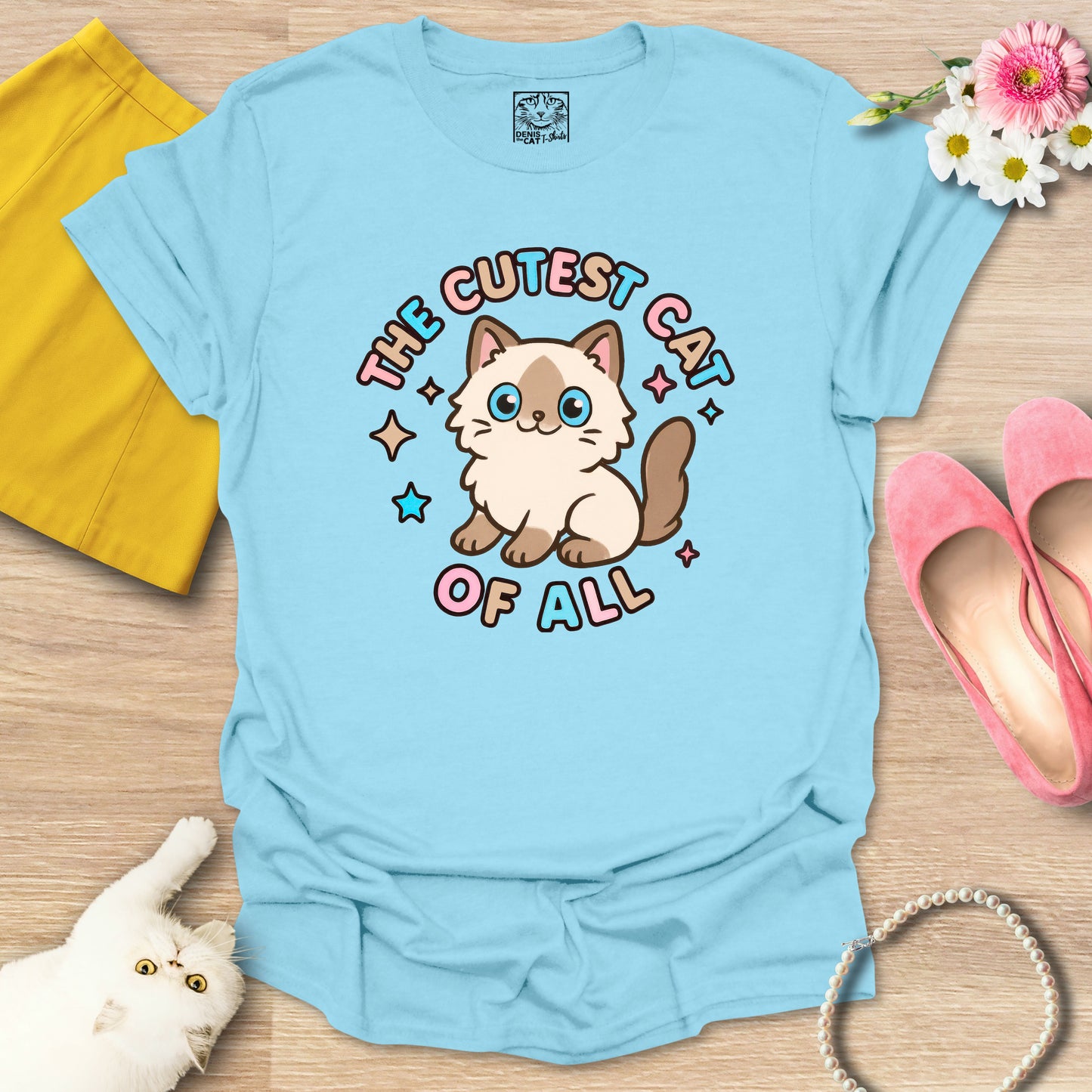 Cutest Cat of All - Ragdoll