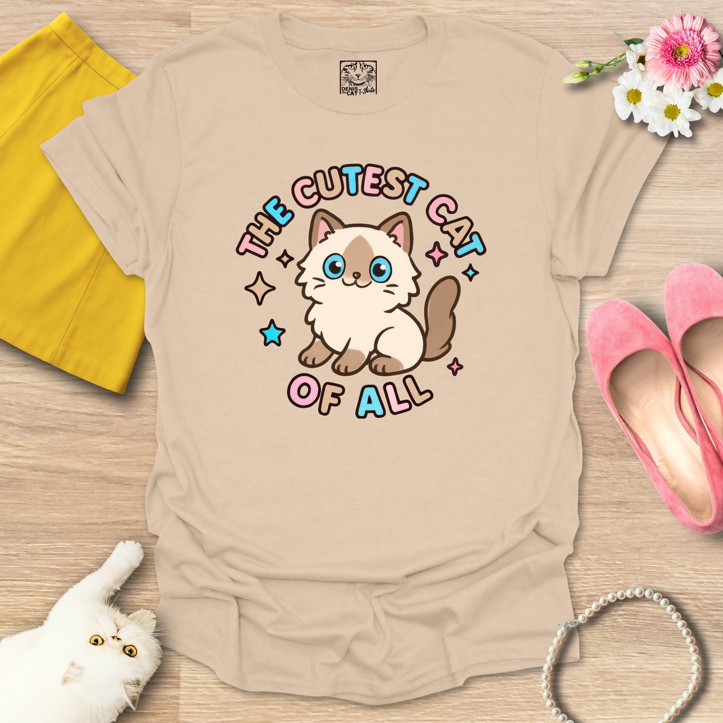 Cutest Cat of All - Ragdoll