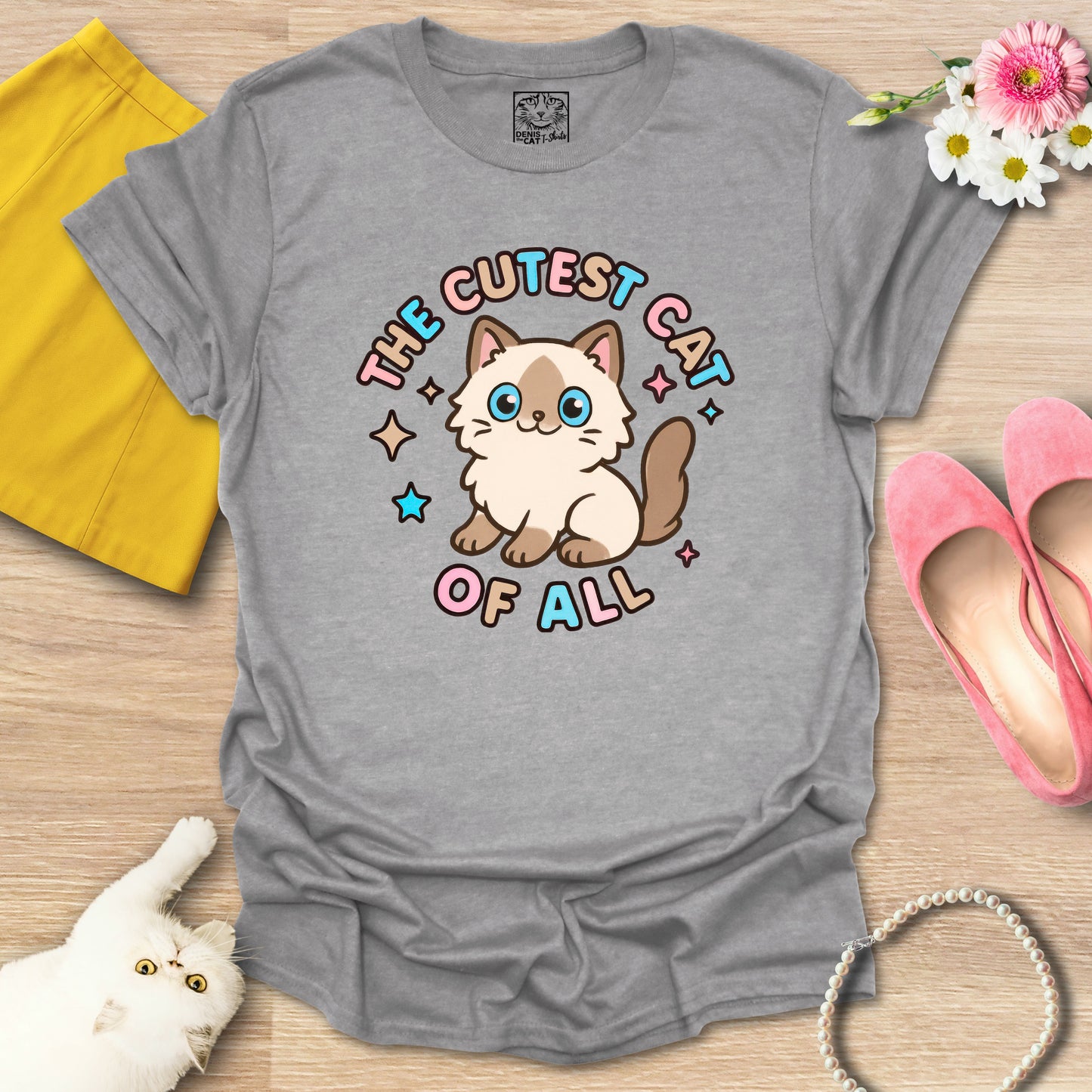 Cutest Cat of All - Ragdoll