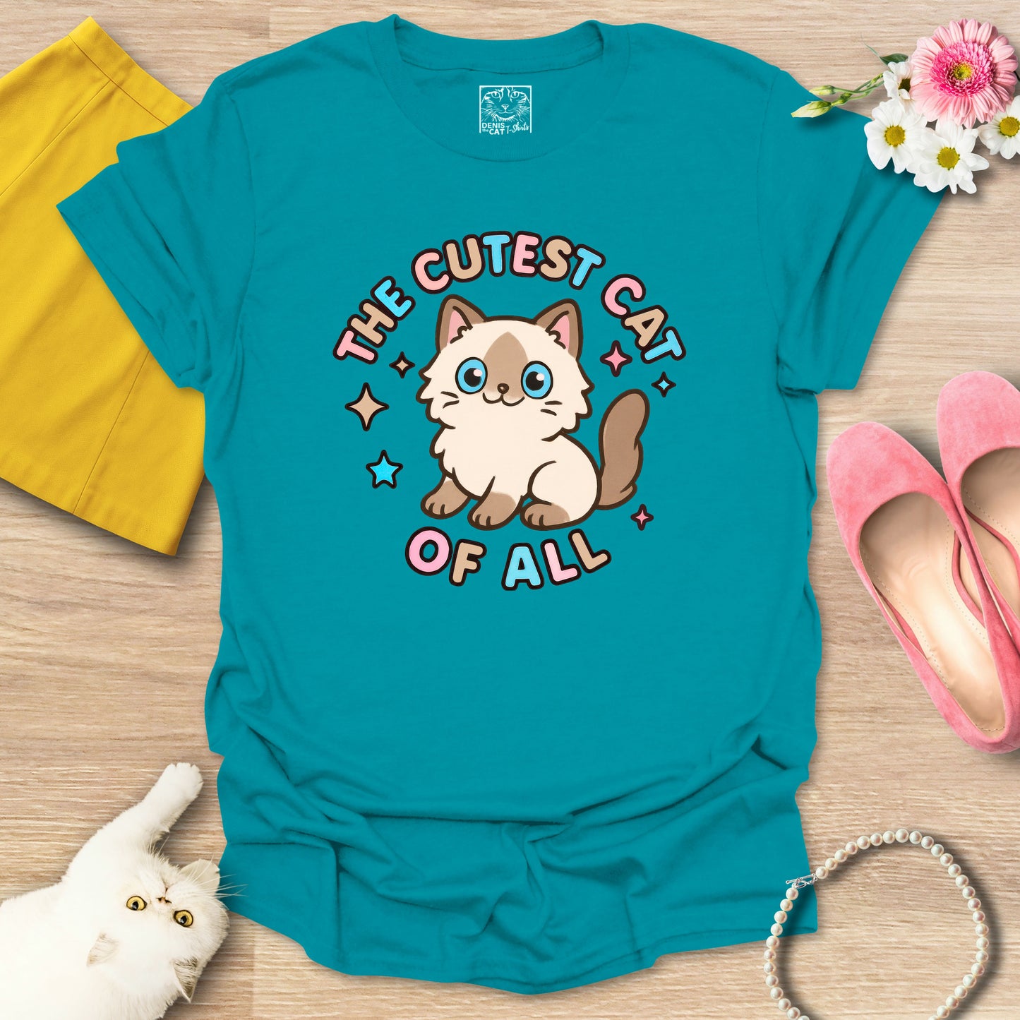 Cutest Cat of All - Ragdoll