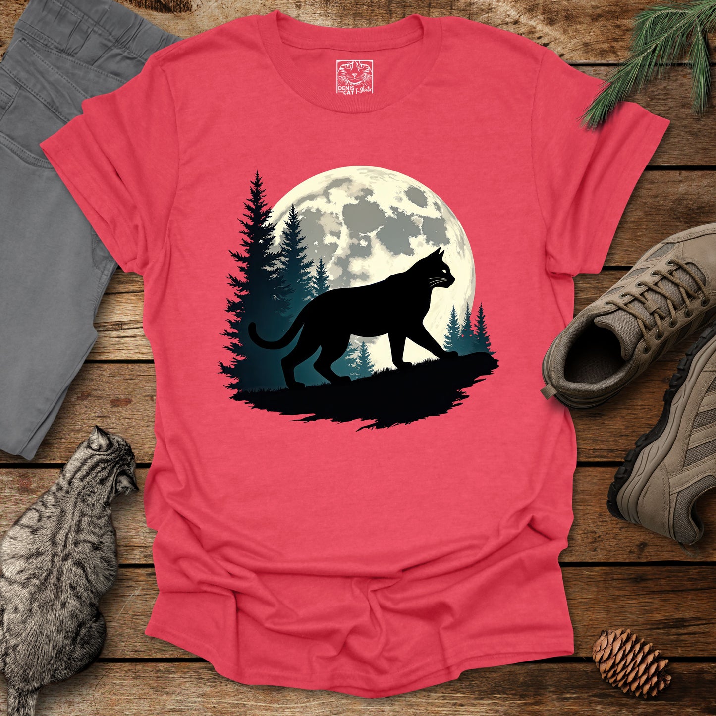 Moon Cat 1