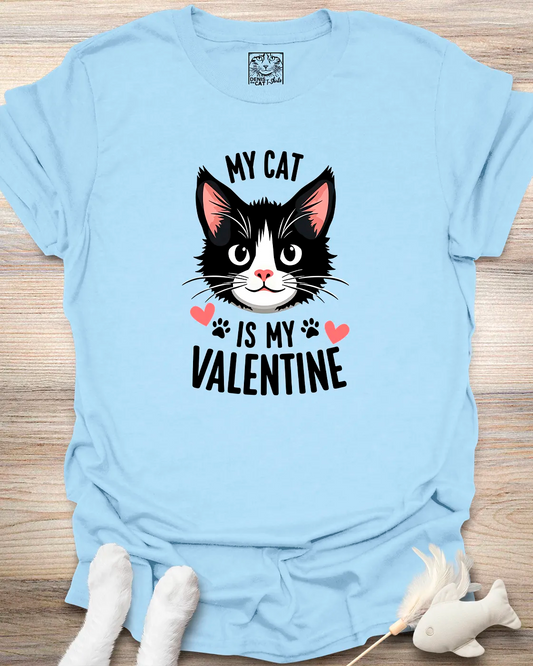 My Cat, My Valentine