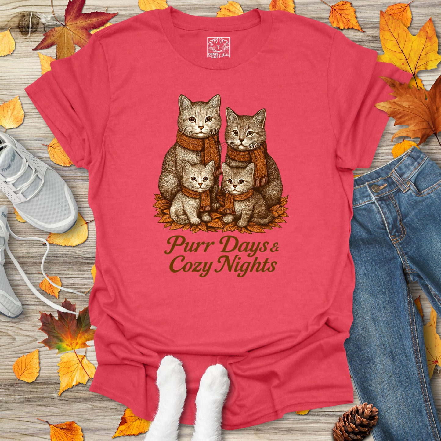 Purr Days and Cozy Nights