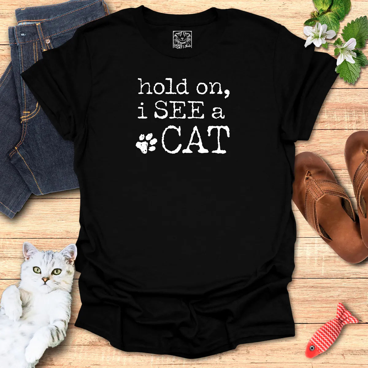 hold on, i SEE a CAT