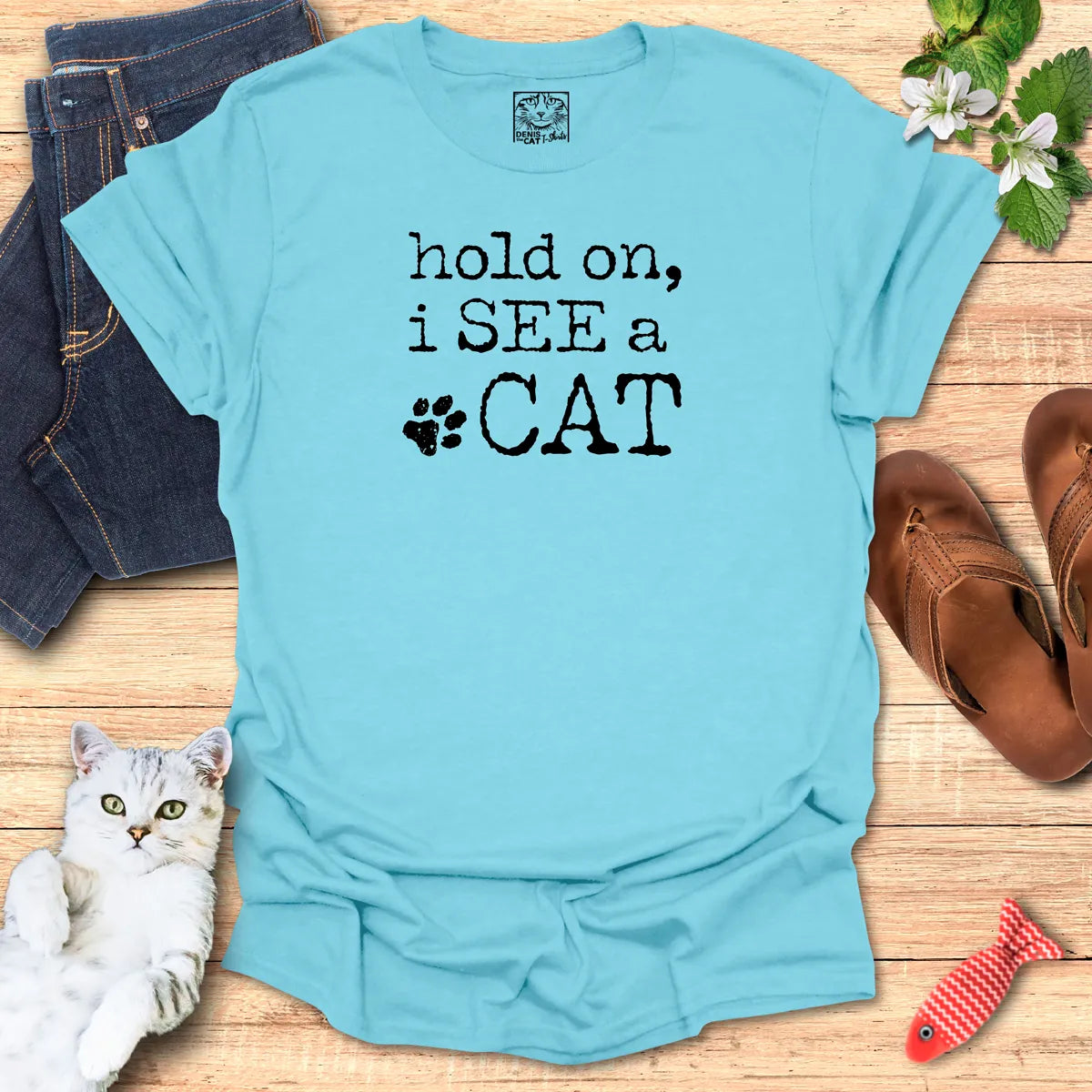 hold on, i SEE a CAT