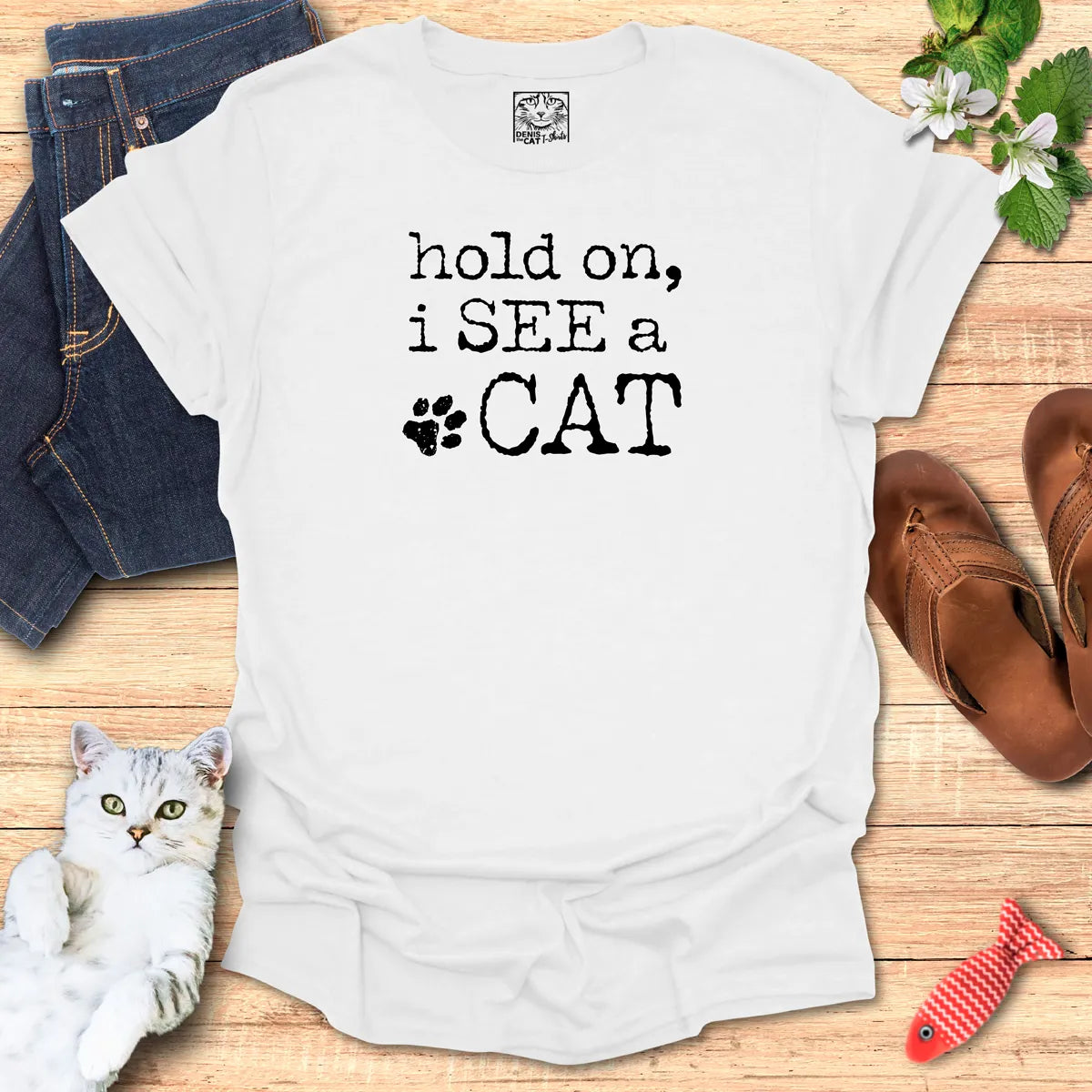 hold on, i SEE a CAT
