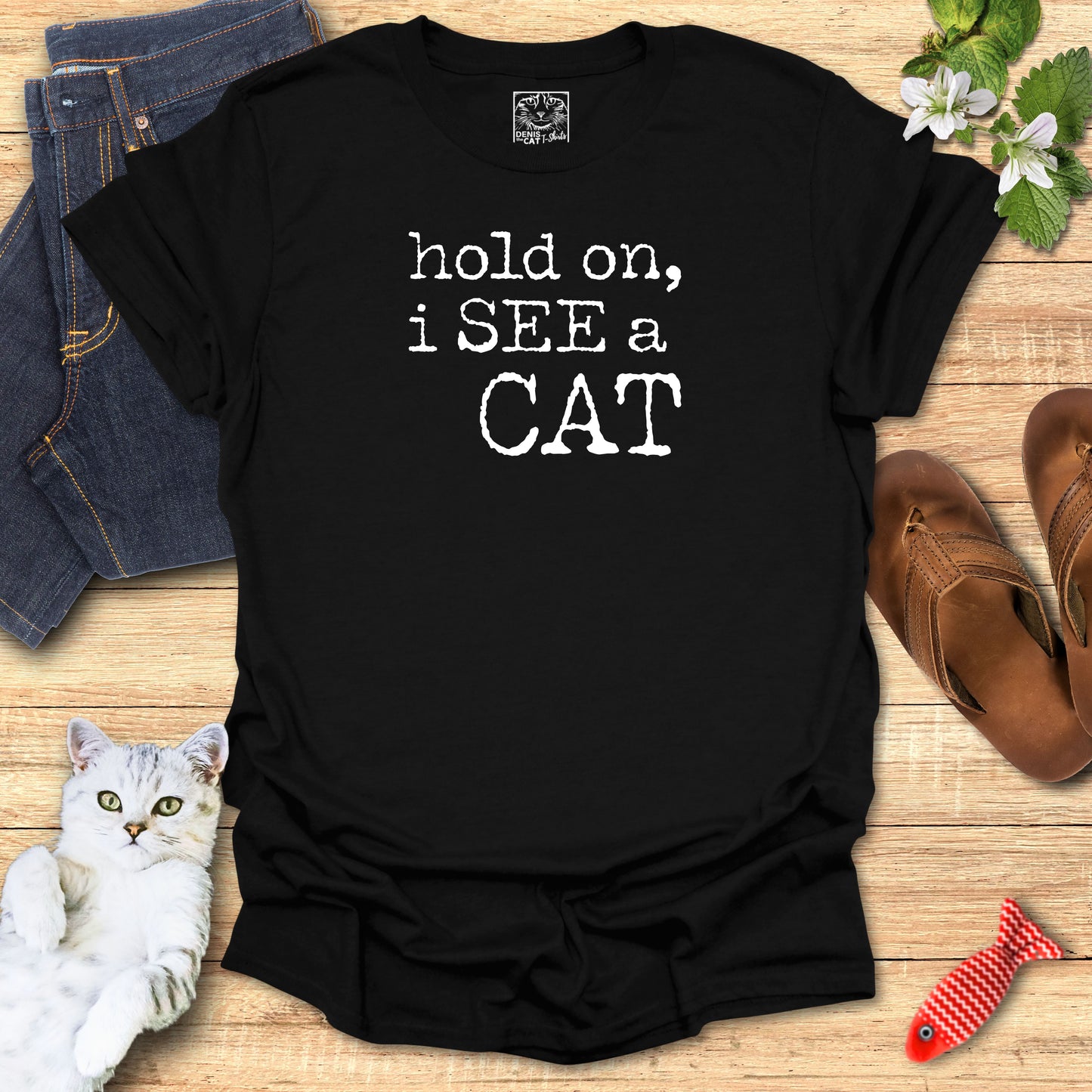 hold on, i SEE a CAT