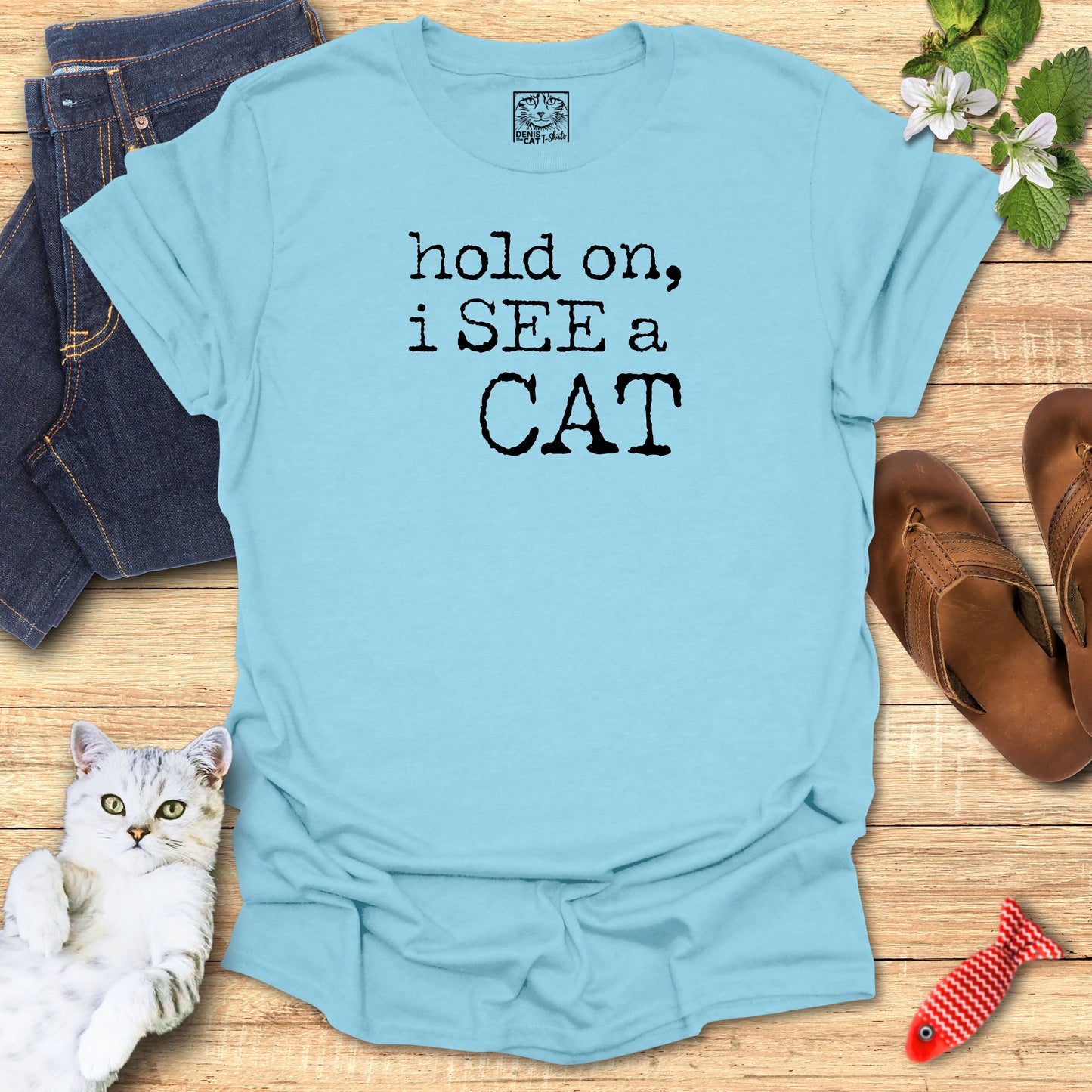 hold on, i SEE a CAT