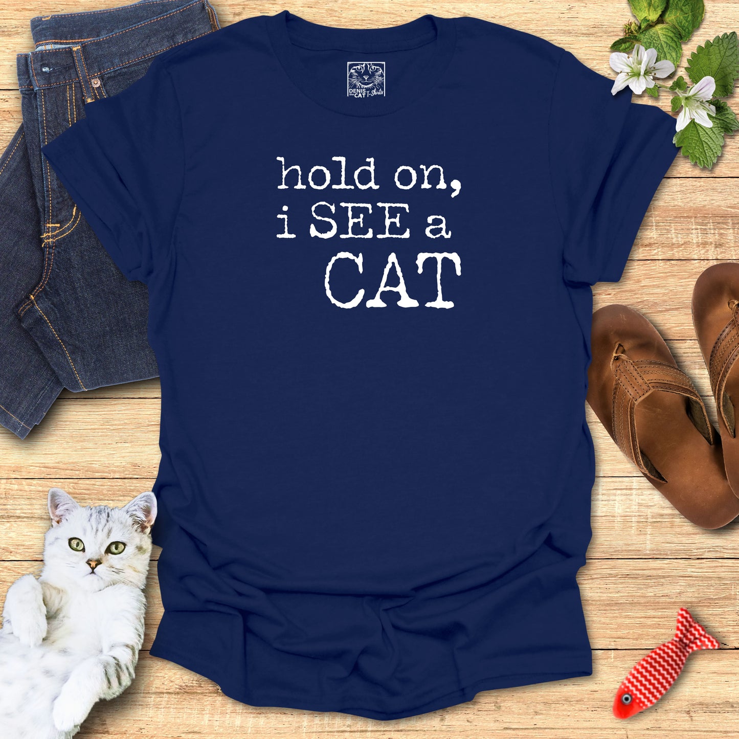 hold on, i SEE a CAT