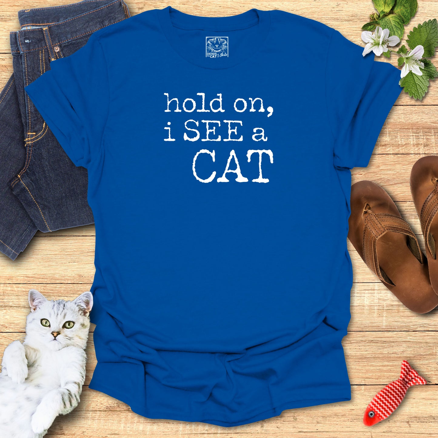 hold on, i SEE a CAT